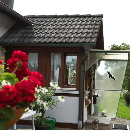 Werner Mit Terrasse *