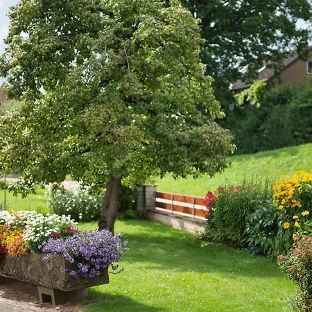 Werner Mit Terrasse * Haundorf