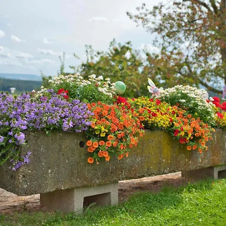Werner Mit Terrasse Apartment